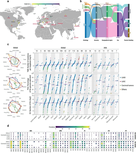 The mutagenic forces shaping the genomic landscape of lung cancer in never smokers