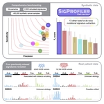 Uncovering novel mutational signatures by de novo extraction with SigProfilerExtractor